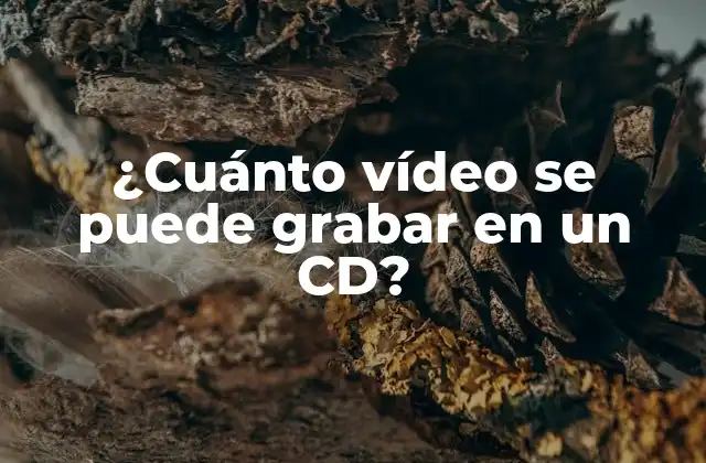 ¿cuánto Vídeo Se Puede Grabar en un Cd?