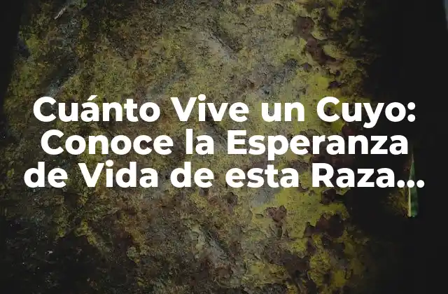 Cuánto Vive un Cuyo: Conoce la Esperanza de Vida de Esta Raza de Perro 2 Orígenes y Características de los Cuyos