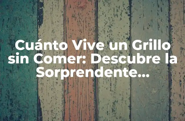 Cuánto Vive un Grillo sin Comer: Descubre la Sorprendente Respuesta