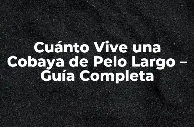 Cuánto Vive una Cobaya de Pelo Largo – Guía Completa