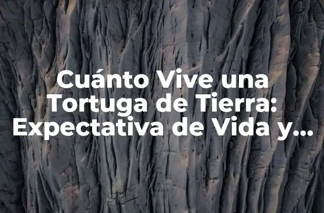 Cuánto Vive una Tortuga de Tierra: Expectativa de Vida y Cuidados