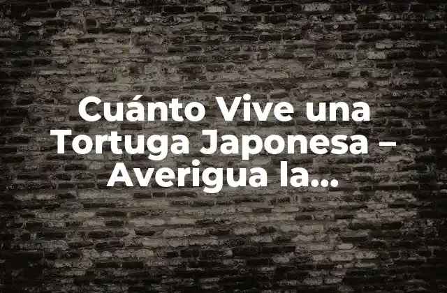 Cuánto Vive una Tortuga Japonesa – Averigua la Longevidad de Estos Animales Emblemas