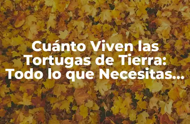 Cuánto Viven las Tortugas de Tierra: Todo Lo que Necesitas Saber