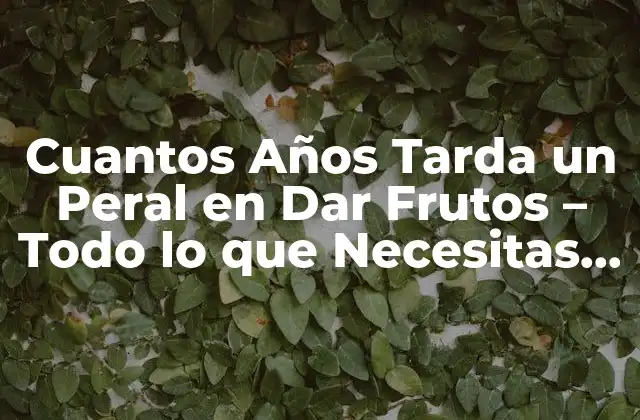 Cuantos Años Tarda un Peral en Dar Frutos – Todo Lo que Necesitas Saber