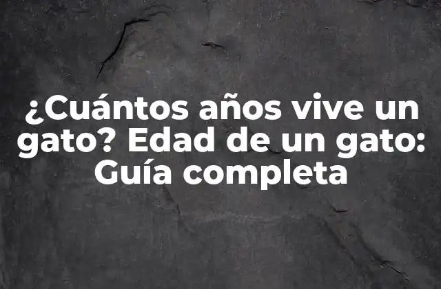 ¿cuántos Años Vive un Gato? Edad de un Gato: Guía Completa