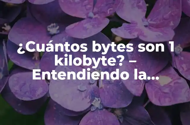 ¿cuántos Bytes Son 1 Kilobyte? – Entendiendo la Relación entre Bytes y Kilobytes