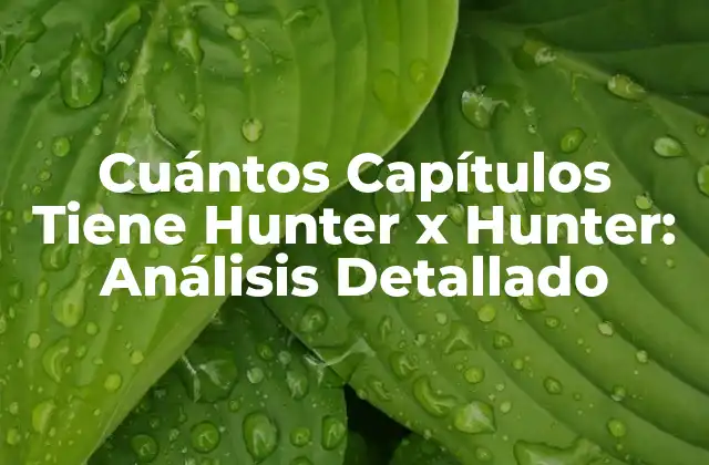 Cuántos Capítulos Tiene Hunter X Hunter: Análisis Detallado
