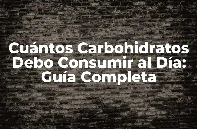 Cuántos Carbohidratos Debo Consumir Al Día: Guía Completa