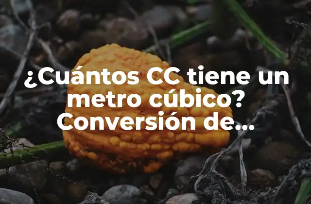 ¿cuántos Cc Tiene un Metro Cúbico? Conversión de Unidades de Volumen