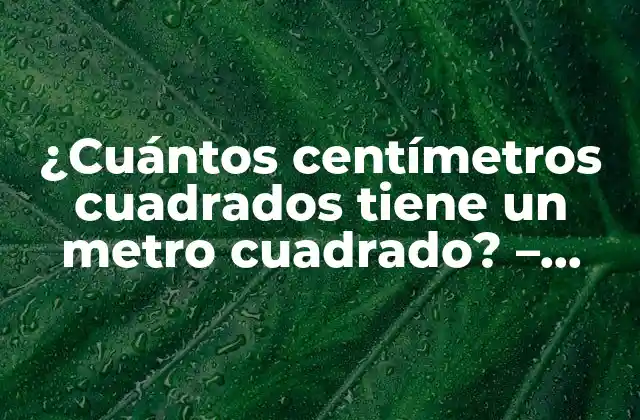 ¿cuántos Centímetros Cuadrados Tiene un Metro Cuadrado? – Explicación Detallada