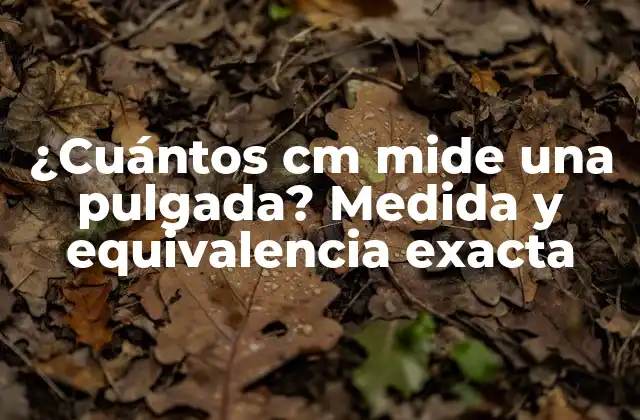 ¿cuántos Cm Mide una Pulgada? Medida y Equivalencia Exacta 2 La historia detrás de la pulgada: origen y evolución