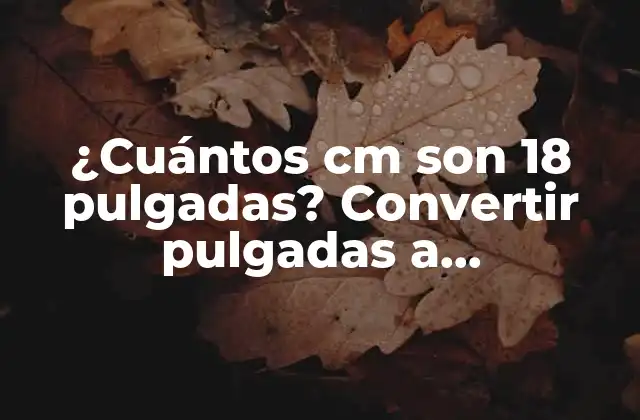 ¿cuántos Cm Son 18 Pulgadas? Convertir Pulgadas a Centímetros de Manera Sencilla