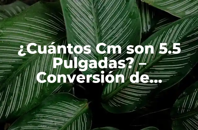 ¿cuántos Cm Son 5.5 Pulgadas? – Conversión de Unidades de Longitud Exacta