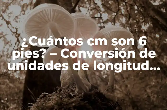 ¿cuántos Cm Son 6 Pies? - Conversión de Unidades de Longitud Exacta 2 Unidades de longitud comunes