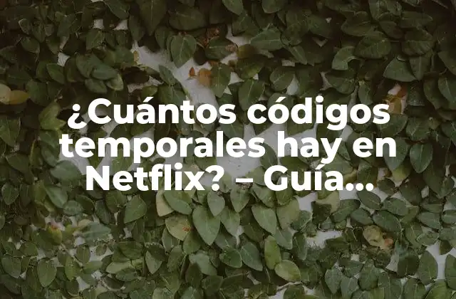 ¿cuántos Códigos Temporales Hay en Netflix? - Guía Completa 2 ¿Qué son los códigos temporales de Netflix?