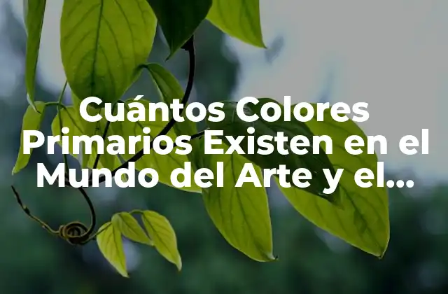 Cuántos Colores Primarios Existen en el Mundo Del Arte y el Diseño