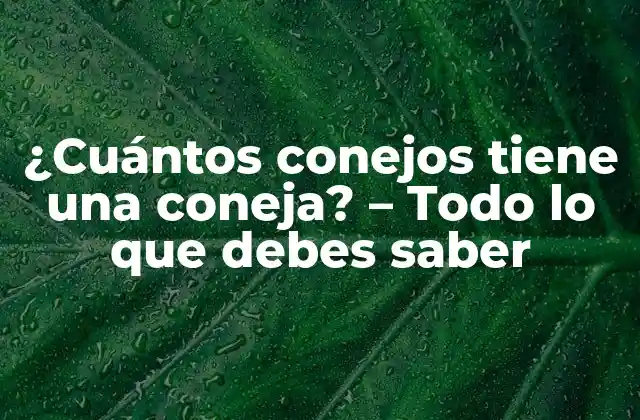 ¿cuántos Conejos Tiene una Coneja? – Todo Lo que Debes Saber