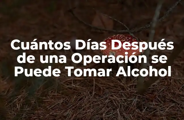 Cuántos Días Después de una Operación Se Puede Tomar Alcohol
