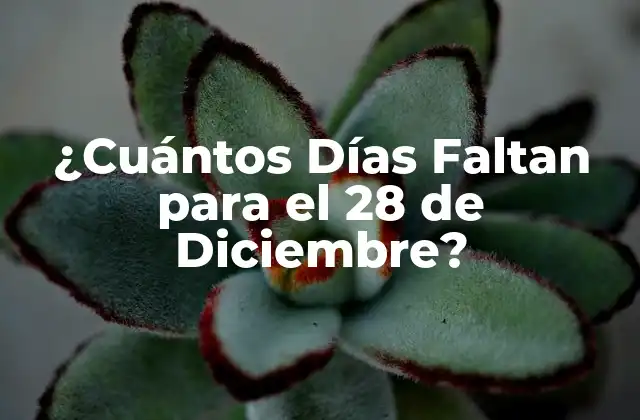 ¿cuántos Días Faltan para el 28 de Diciembre?