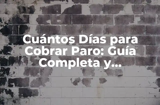 Cuántos Días para Cobrar Paro: Guía Completa y Actualizada
