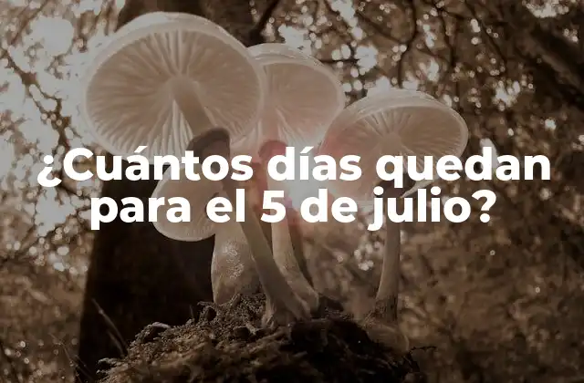 ¿cuántos Días Quedan para el 5 de Julio?