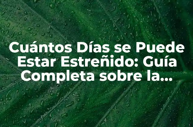 Cuántos Días Se Puede Estar Estreñido: Guía Completa sobre la Constipación