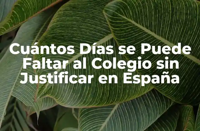 Cuántos Días Se Puede Faltar Al Colegio sin Justificar en España