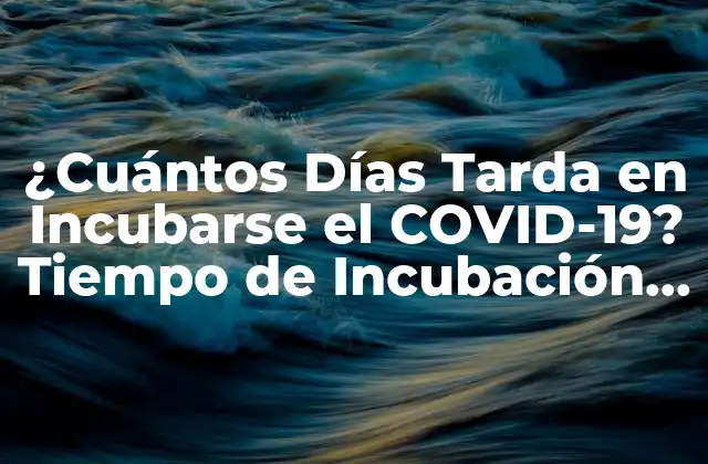 ¿cuántos Días Tarda en Incubarse el Covid-19? Tiempo de Incubación y Síntomas