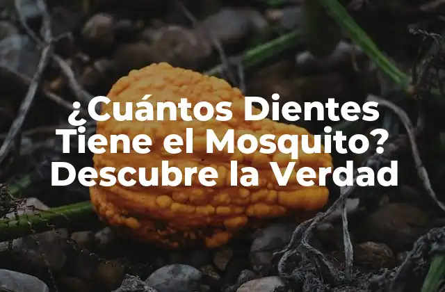 ¿cuántos Dientes Tiene el Mosquito? Descubre la Verdad