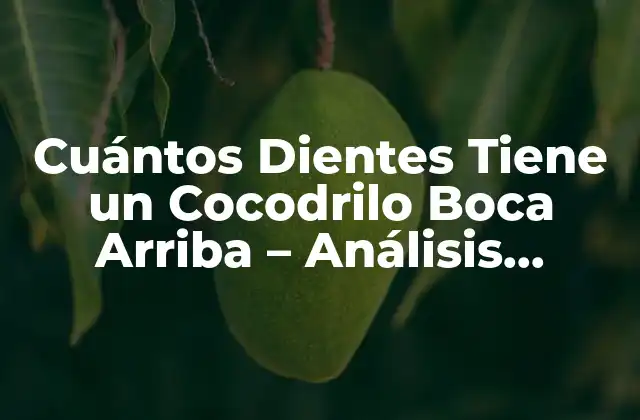 Cuántos Dientes Tiene un Cocodrilo Boca Arriba – Análisis Detallado