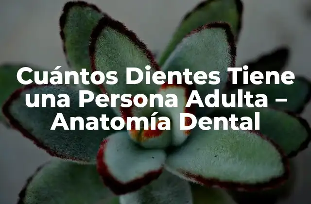 Desarrollo de los Dientes