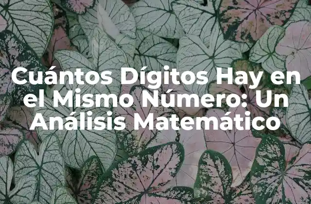 Cuántos Dígitos Hay en el Mismo Número: un Análisis Matemático