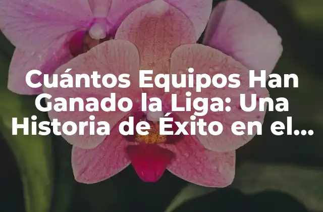 Cuántos Equipos Han Ganado la Liga: una Historia de Éxito en el Fútbol