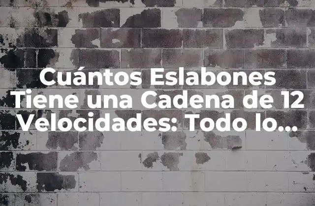 Cuántos Eslabones Tiene una Cadena de 12 Velocidades: Todo Lo que Debes Saber