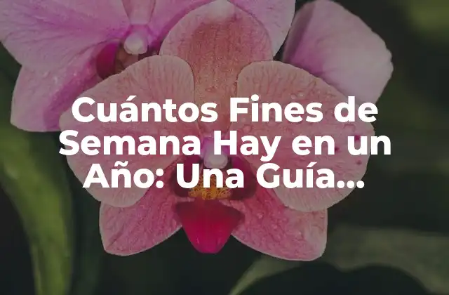 Cuántos Fines de Semana Hay en un Año: una Guía Detallada