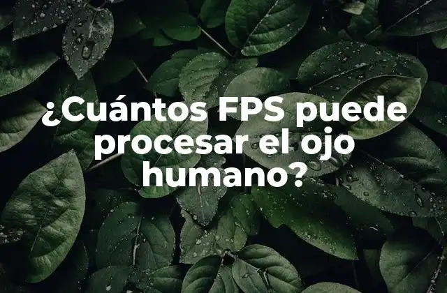 ¿cuántos Fps Puede Procesar el Ojo Humano?