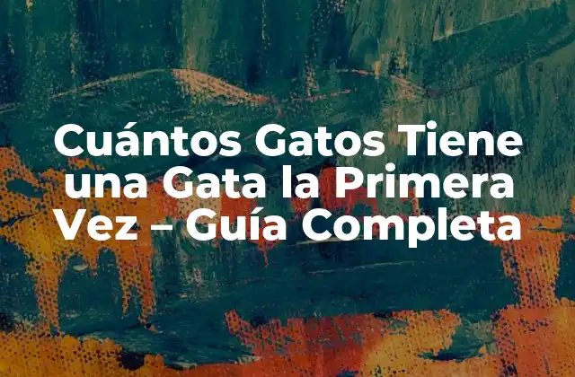Cuántos Gatos Tiene una Gata la Primera Vez – Guía Completa