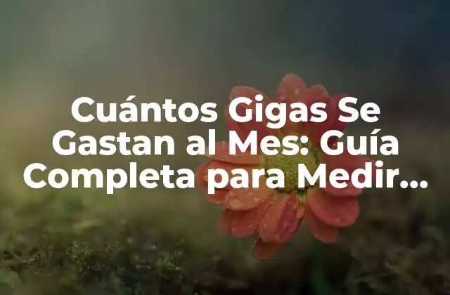 Cuántos Gigas Se Gastan Al Mes: Guía Completa para Medir Tu Consumo de Datos