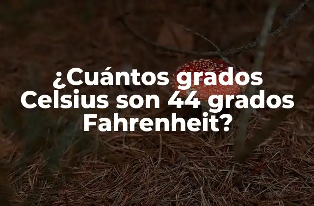 Escalas de temperatura: Fahrenheit vs. Celsius