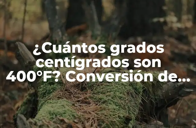 ¿cuántos Grados Centígrados Son 400°f? Conversión de Temperatura Exacta