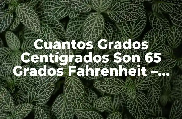 Cuantos Grados Centígrados Son 65 Grados Fahrenheit – Conversión de Temperatura Exacta