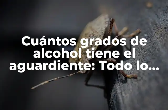 Cuántos Grados de Alcohol Tiene el Aguardiente: Todo Lo que Necesitas Saber 2 Definición y tipos de aguardiente