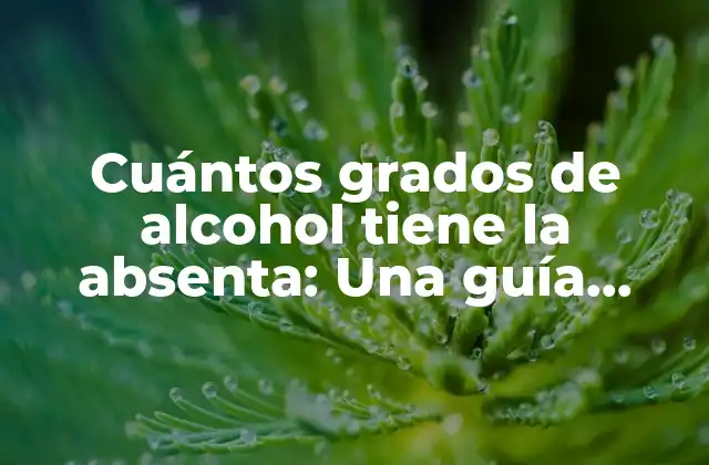 Cuántos Grados de Alcohol Tiene la Absenta: una Guía Completa