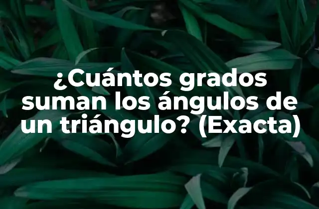 ¿cuántos Grados Suman los Ángulos de un Triángulo? (exacta)