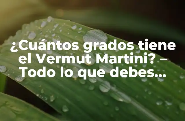 ¿cuántos Grados Tiene el Vermut Martini? – Todo Lo que Debes Saber