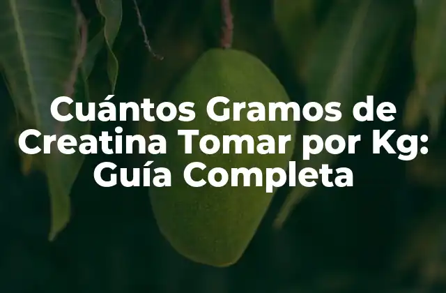 Cuántos Gramos de Creatina Tomar por Kg: Guía Completa
