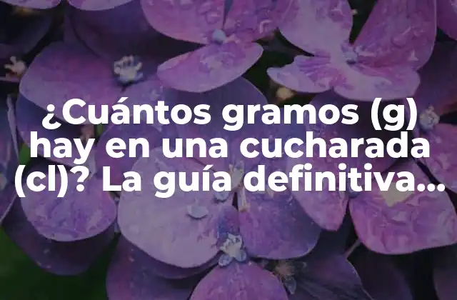 ¿cuántos Gramos (g) Hay en una Cucharada (cl)? la Guía Definitiva para Medir con Precisión.