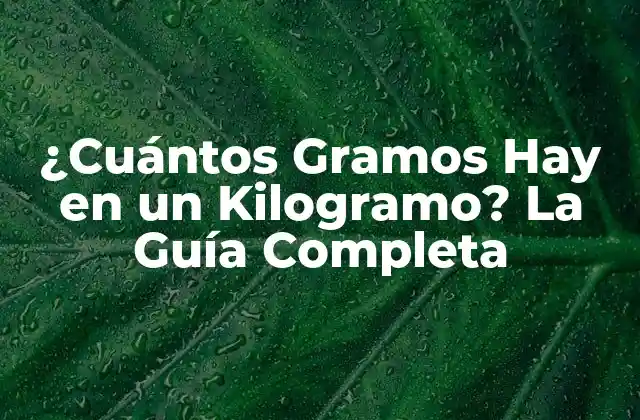 ¿cuántos Gramos Hay en un Kilogramo? la Guía Completa