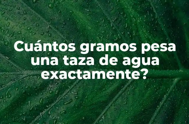 Cuántos Gramos Pesa una Taza de Agua Exactamente?