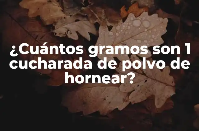 ¿cuántos Gramos Son 1 Cucharada de Polvo de Hornear?